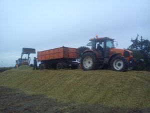 Renault Ares 620rz &d50