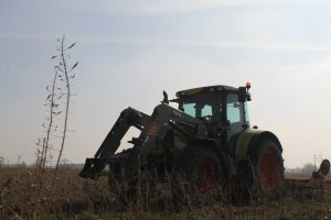 Claas Arion 630 + Agro-Masz 4m