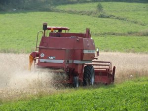 Massey Ferguson 507