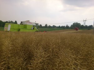 Bizon i Claas