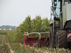 Claas Jaguar 900 & Kemper Champion 360