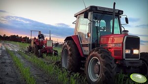 Massey Ferguson 3060 