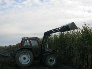 Fiatagri i Kukurydza