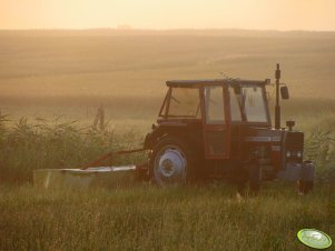 Massey ferguson 255  + kosiarka