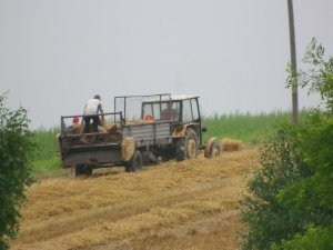 Ursus C-330 + Rozrzutnik