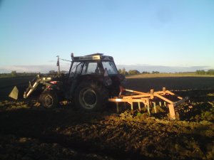 Ursus Finn + silo-wolf