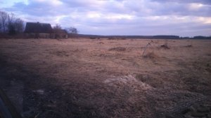 Wykarczowany sad jabłoniowy