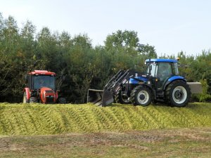 New Holland TD80D Plus Zetor Proxima 8441