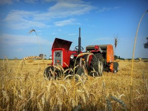 Ursus C-360 & Warfama Z-543