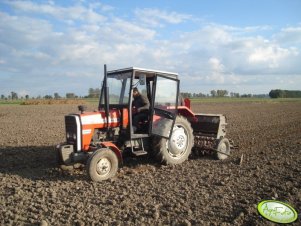 Massey Ferguson 255 + Poznaniak