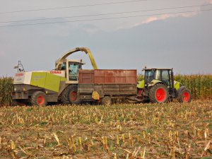 Claas Jaguar 890 i Claas Arion 410