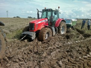 Massey Ferguson 6485