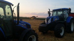 New Holland'y