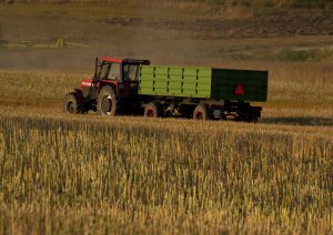 Ursus 1224 + przyczepa