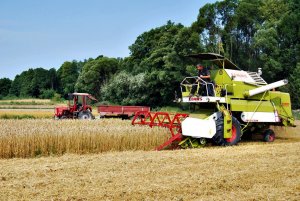 Claas Protector i Wladimirec T-25A + rozrzutnik Czarna Białostocka