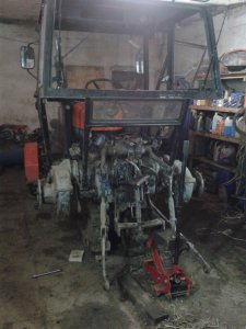 Ursus C-355