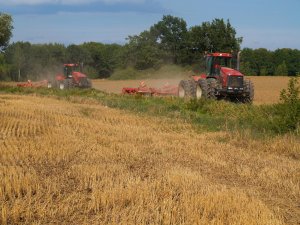 Case IH Steiger 385 + Horsch Tiger 6LT x2