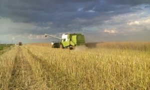 Fortschritt E517 MDW