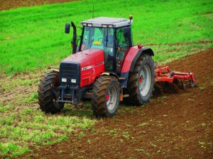 Massey Ferguson 8140 & POM  Brodnica 1