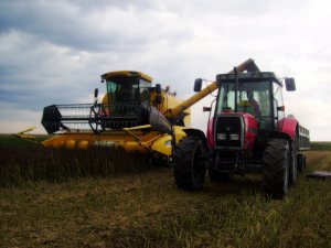 New Holland TC5050 + Massey Ferguson 6140 + przyczepa