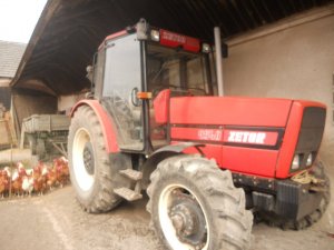 Zetor