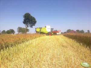 Claas Lexion 650