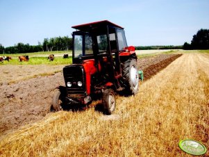 Massey Ferguson 255 + pług