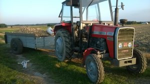 Massey Ferguson 255