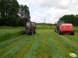 Massey Ferguson 255 & 3080