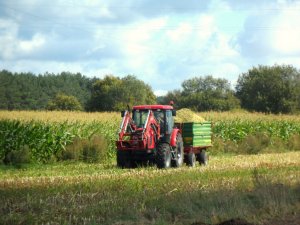 Zetor Proxima 85 & Pronar