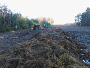 Fendt & D-43