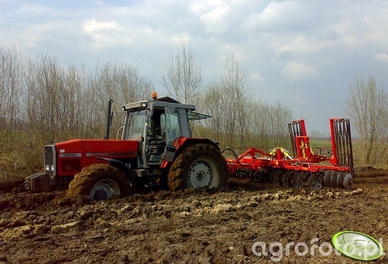 Zdjęcie traktor MF 3690 #212986 - Galeria rolnicza agrofoto