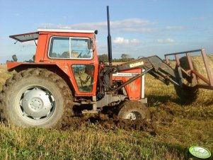 Massey Ferguson 590