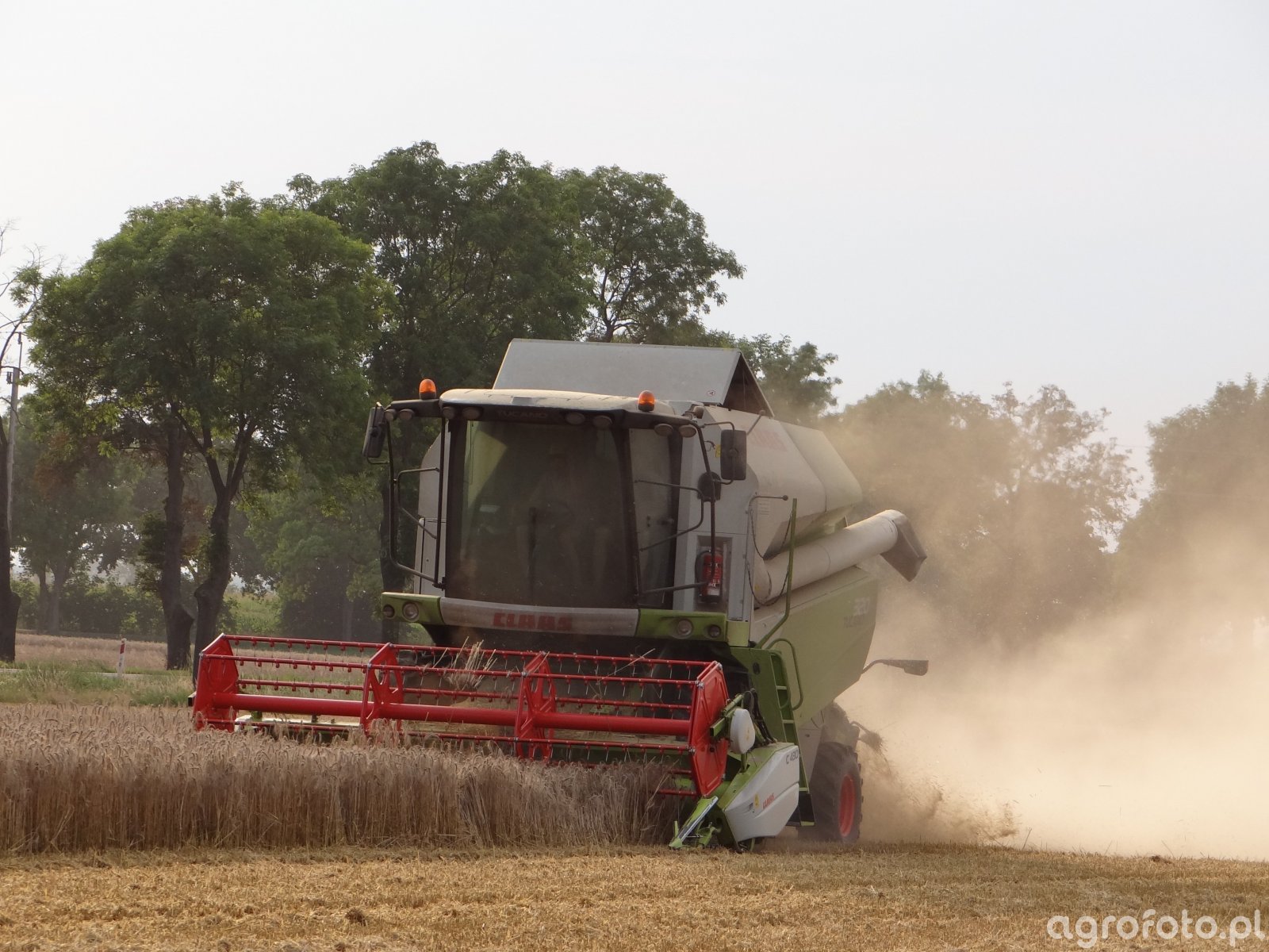 Kombajn Claas Tucano 320 - foto #522566 - Galeria rolnicza agrofoto