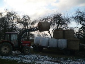 Zetor 7540 i tur Prima