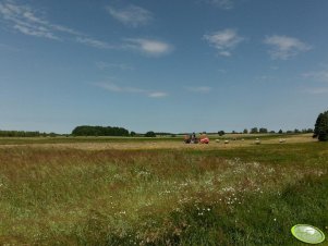 Massey Ferguson 3085 & Metal Fach Z-562