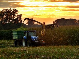 New Holland T6030 & New Holland FX 48