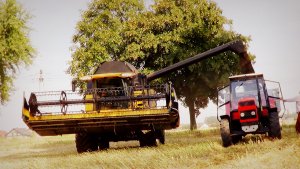 New Holland Cx8060 Rzepaki 2013