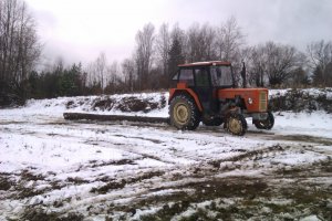 c360 3P I praca Z drzewem