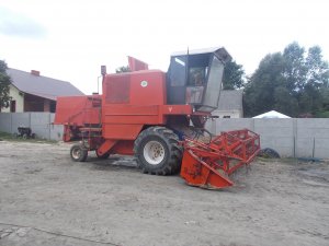 Bizon super
