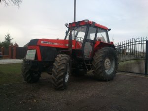 Ursus 1224