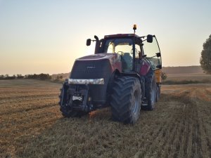 Case Magnum 260 + Wielton 12t