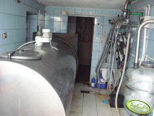 Pomieszczenie mleczarskie