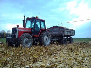 Massey Ferguson 698