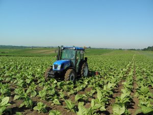 New Holland T4020 + Akpil Piel 5