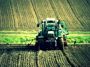 Fendt Farmer 312