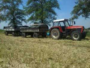 Zetor 16145 + 2 przyczepy