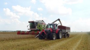 Żniwa 2014 Lindner Geotrac 124 Pro | Claas Dominator 108 SL