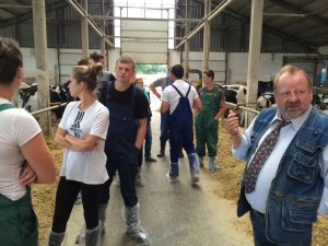 Szkolenie z przygotowania bydła do wystaw