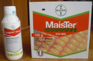 Maister